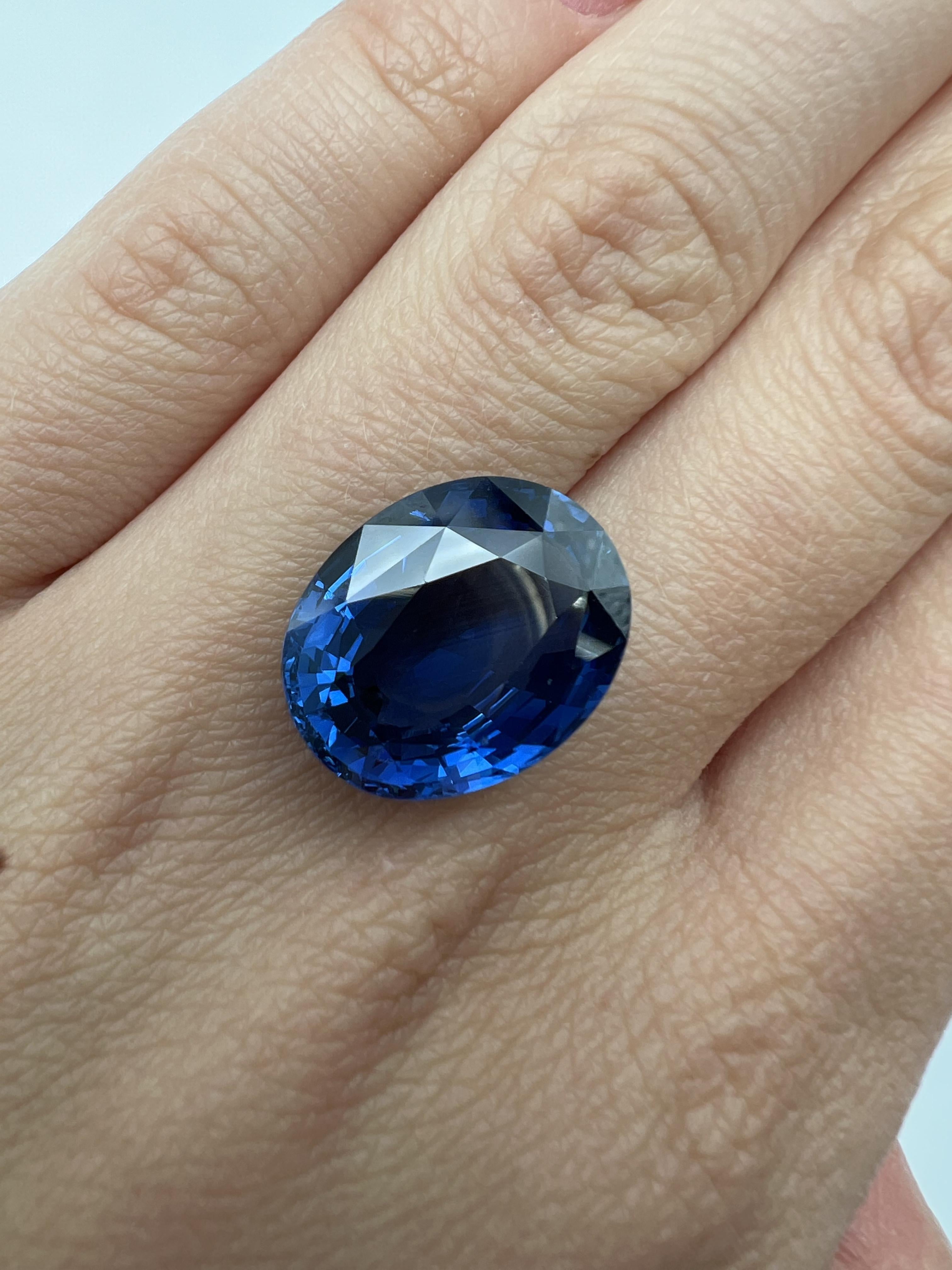 Exceptionnel saphir bleu chauffé du Sri Lanka de 16,95 carats certifié par le GIA en vente 1