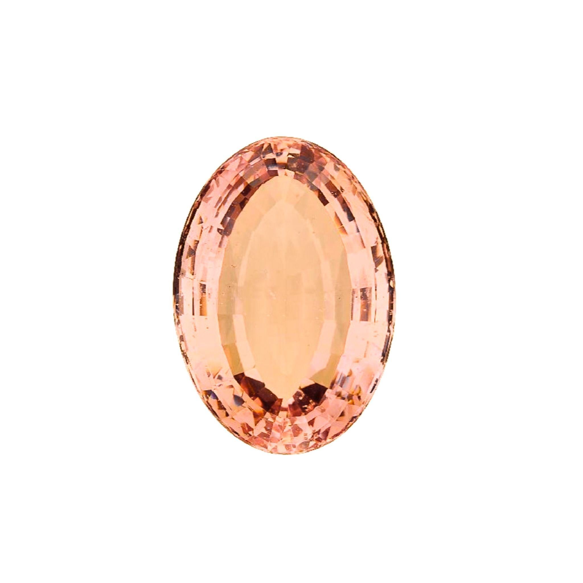 GIA zertifiziert 176 Karat Oval Morganit East West Lünette Anhänger Halskette (Zeitgenössisch) im Angebot