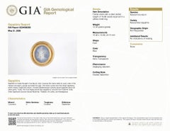 Piedra central del anillo de zafiro estrella natural sin calentar certificado por el GIA de 18,66 quilates