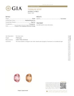 GIA Certified 19.68 Carat Shield Cut Tourmaline