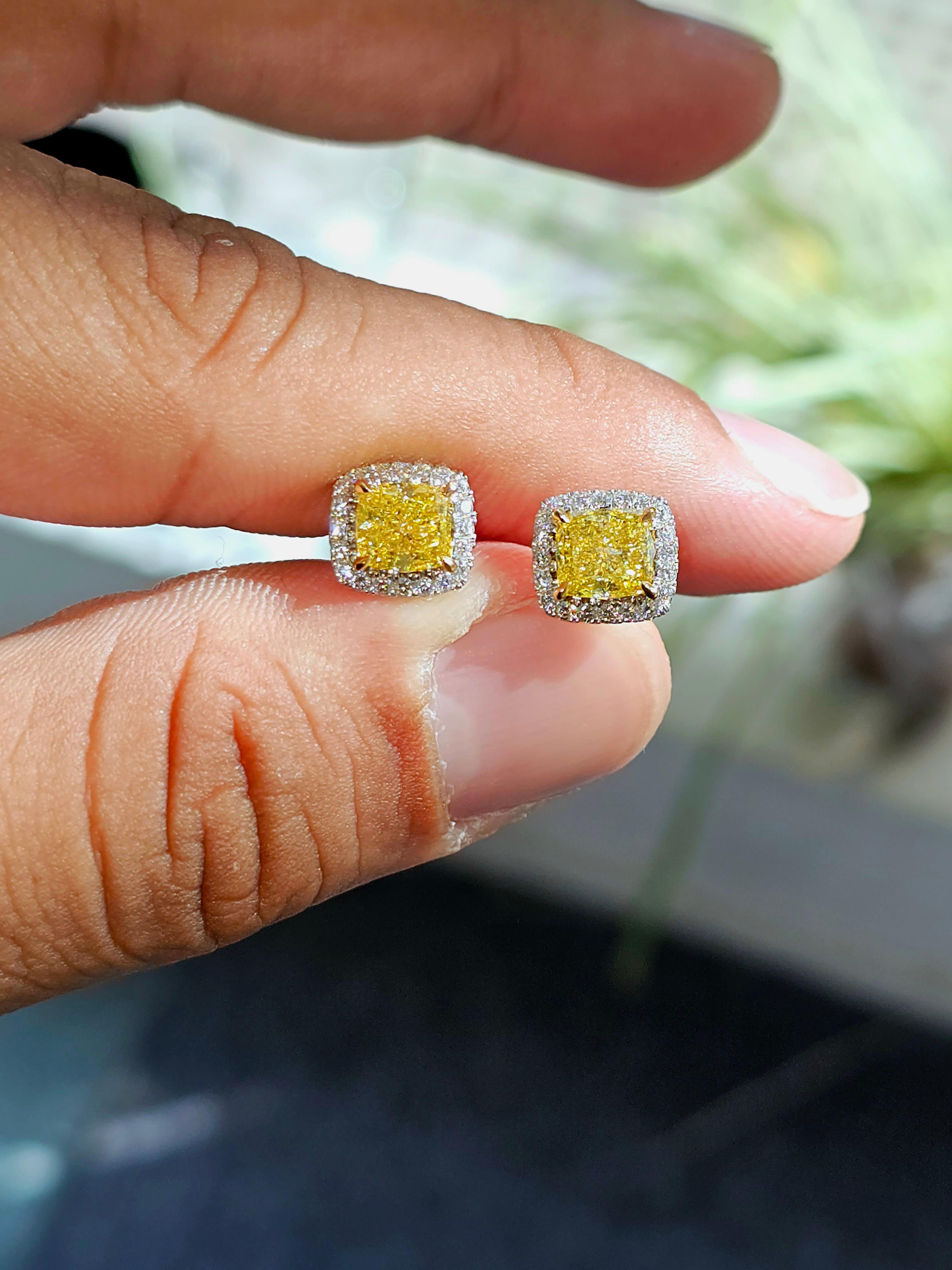 Nous vous présentons une paire de diamants de taille coussin parfaitement assortis, avec le plus haut degré de teinte dorée certifié par le laboratoire GIA, Fancy Vivid-Yellow. 

La paire surdimensionnée de 2,44cts (1,21cts et 1,23cts