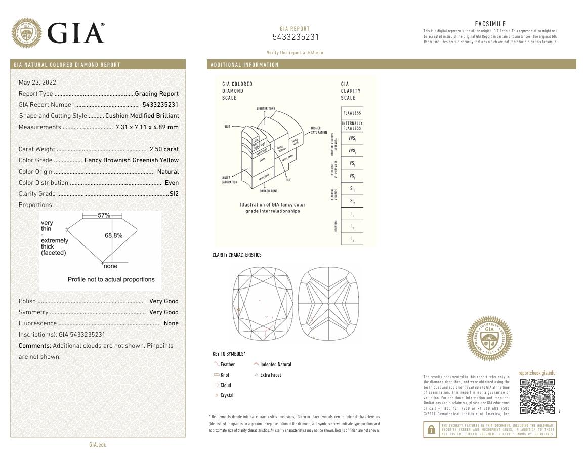 Diamant fantaisie de 2,50 carats de pureté jaune brunâtre vertâtre SI2 certifié par le GIA en vente 1