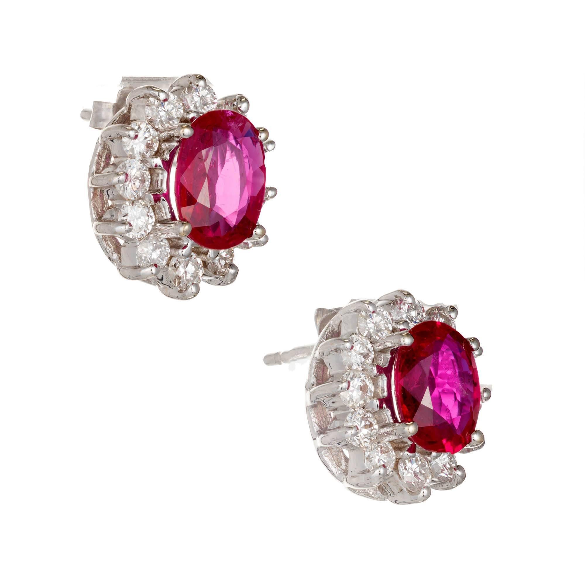 Bright red oval Ruby and diamond stud earrings. Oval rubies surrounded by bright sparkly halo of white diamonds. 

2 oval natural bright red Rubies, approx. total weight 2.10cts, NCL Type 1, simple heat TE only, no other enhancements. GIA