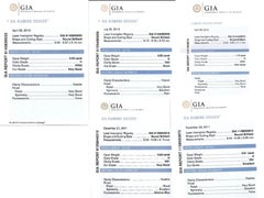 GIA Certified 30 Carat Round Diamond Circle Link Bracelet in 18K White Gold