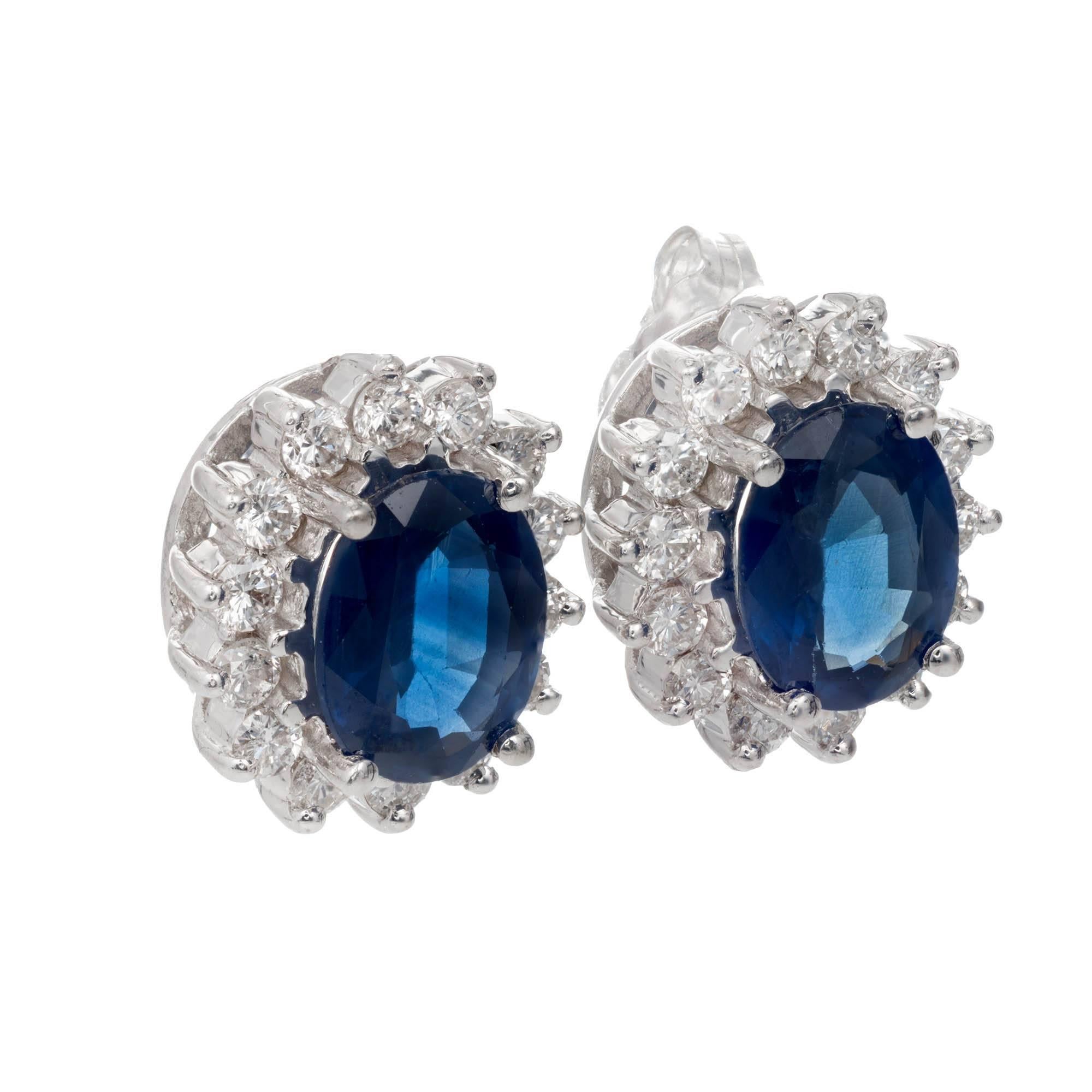 GIA Certified 3.10 Carat Cornflower Blue oval Sapphire Diamond halo 18k white gold Stud Earrings. 

2 oval Sapphire, approx. total weight 3.10cts, 8 x 6mm. Bright deep cornflower blue natural Sapphire CMT Type 1 simple heat TE only. GIA certificate