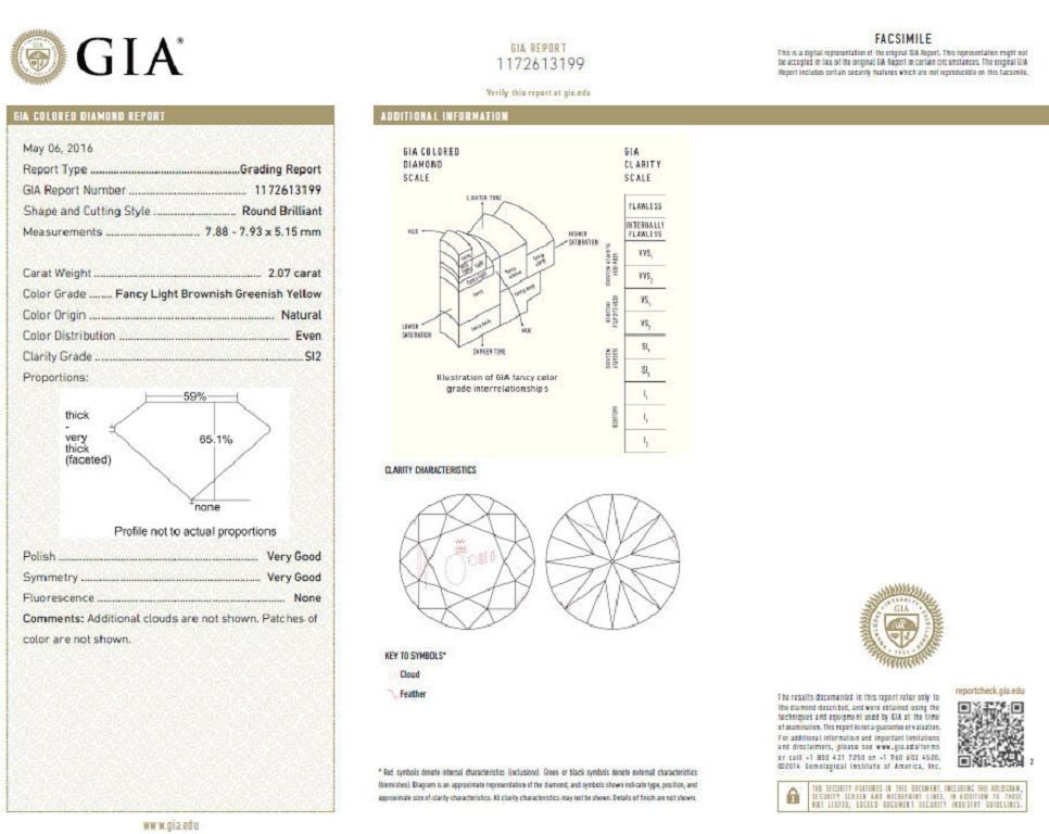 GIA Certified 3.67 Carat Fancy Round Diamond Ring Circular Flush Deck For Sale 2