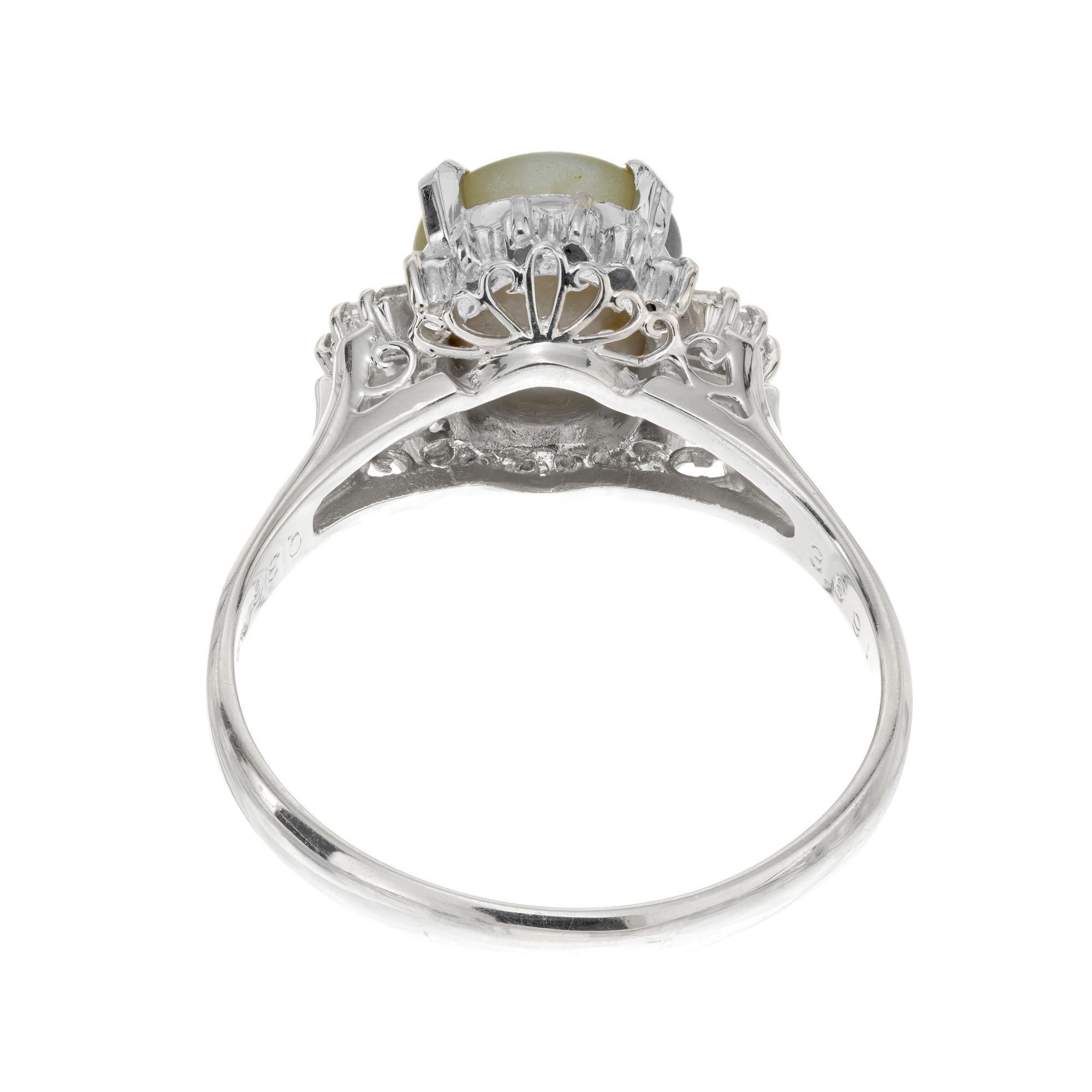 Women's GIA Certified 3.69 Carat Chrysoberyl Cats Eye Diamond Halo Platinum Ring