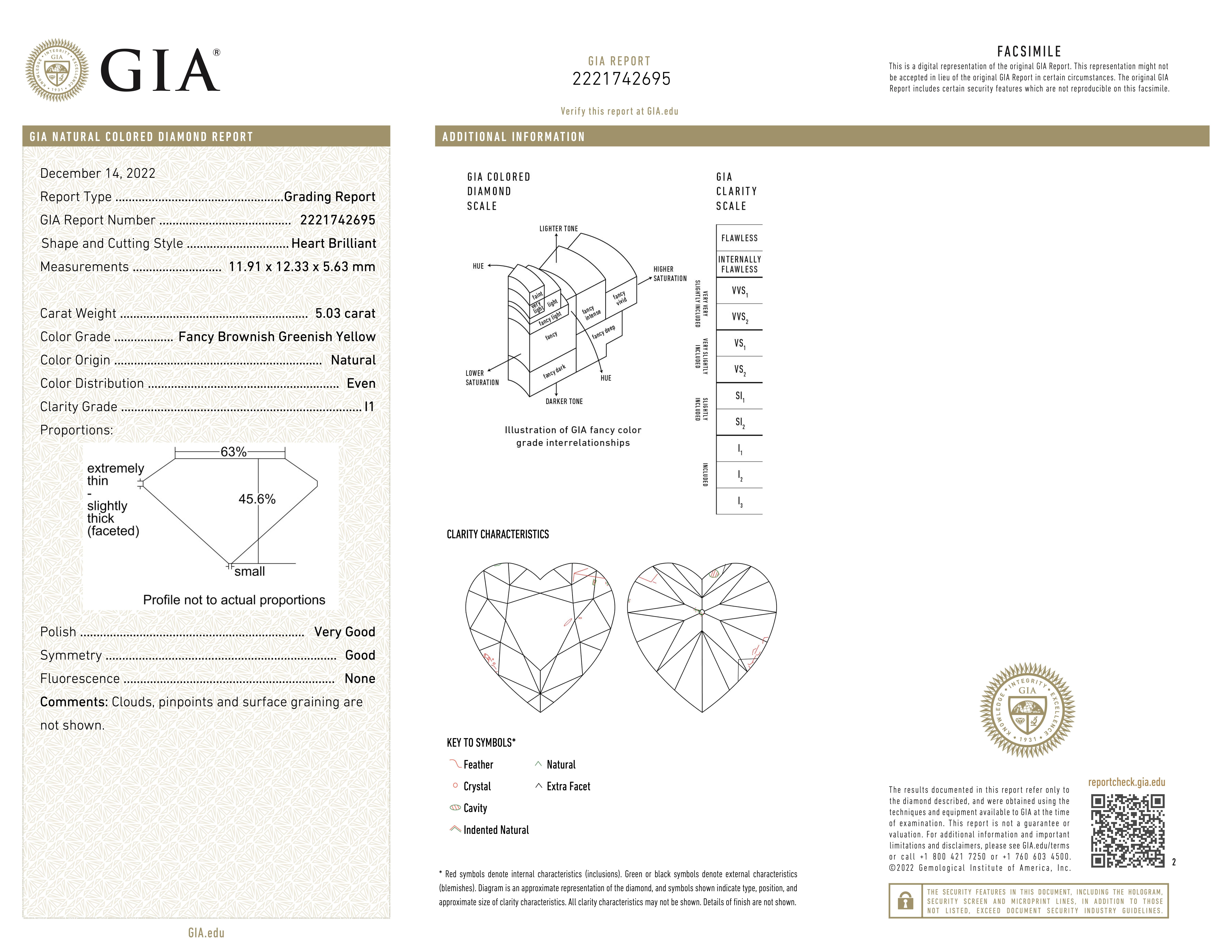 GIA Certified - 5.03 Fancy Brownish Greenish Yellow Diamond For Sale 2