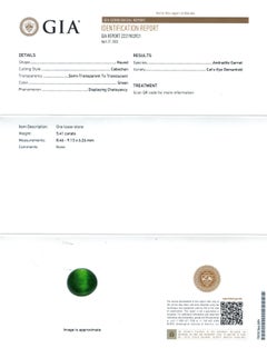 Natural Green Cat's Eye Demantoid Garnet Gemstone 5.41 carats with GIA Report