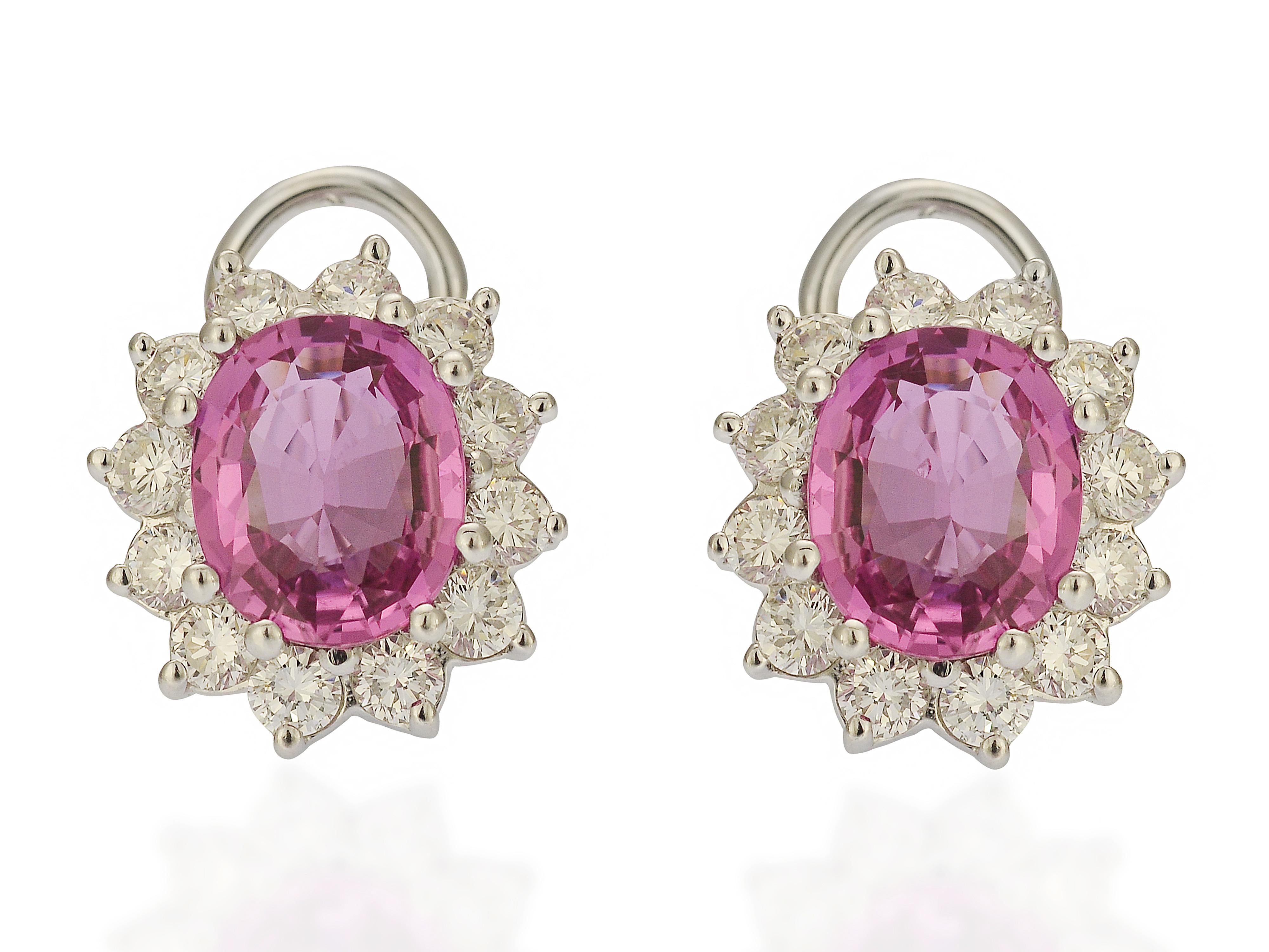 These bright pink oval cut sapphire earrings are a classic design that will never go out of style. The setting is an 18 karat white gold mounting containing over 2 carats of VS clarity & G color diamonds. The closure is a post with hinged Omega