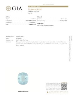 GIA Certified 63.34 Carat Paraiba Tourmaline GIA #6173130740