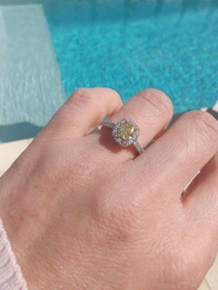 GIA Certified .78ct Cushion Cut Halo Yellow Ellendale Diamond Engagement Ring