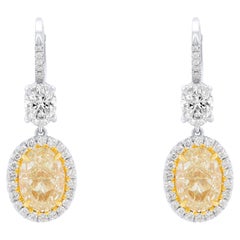 Diana M. GIA-zertifizierte 8 Karat ovale gelbe Diamant-Ohrringe