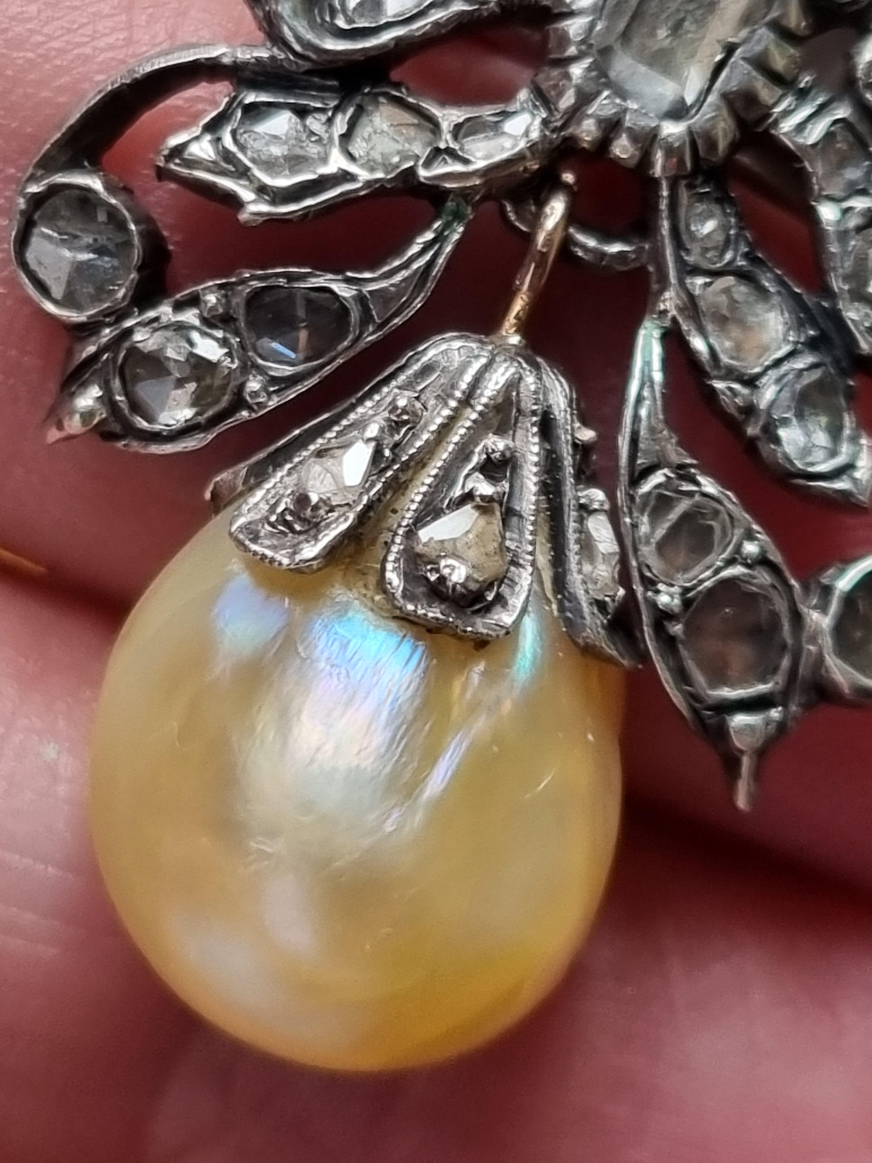 Seltene Basra-Salzwasserperle und Diamant-Anhänger/Brosche, ca. 18. Jahrhundert. (Pinctada Radiata, laut GIA-Zertifikat Familie der Pteriidae)
Die Perle hat eine tropfenähnliche Form mit einer cremefarbenen Körperfarbe, wie sie typischerweise nur
