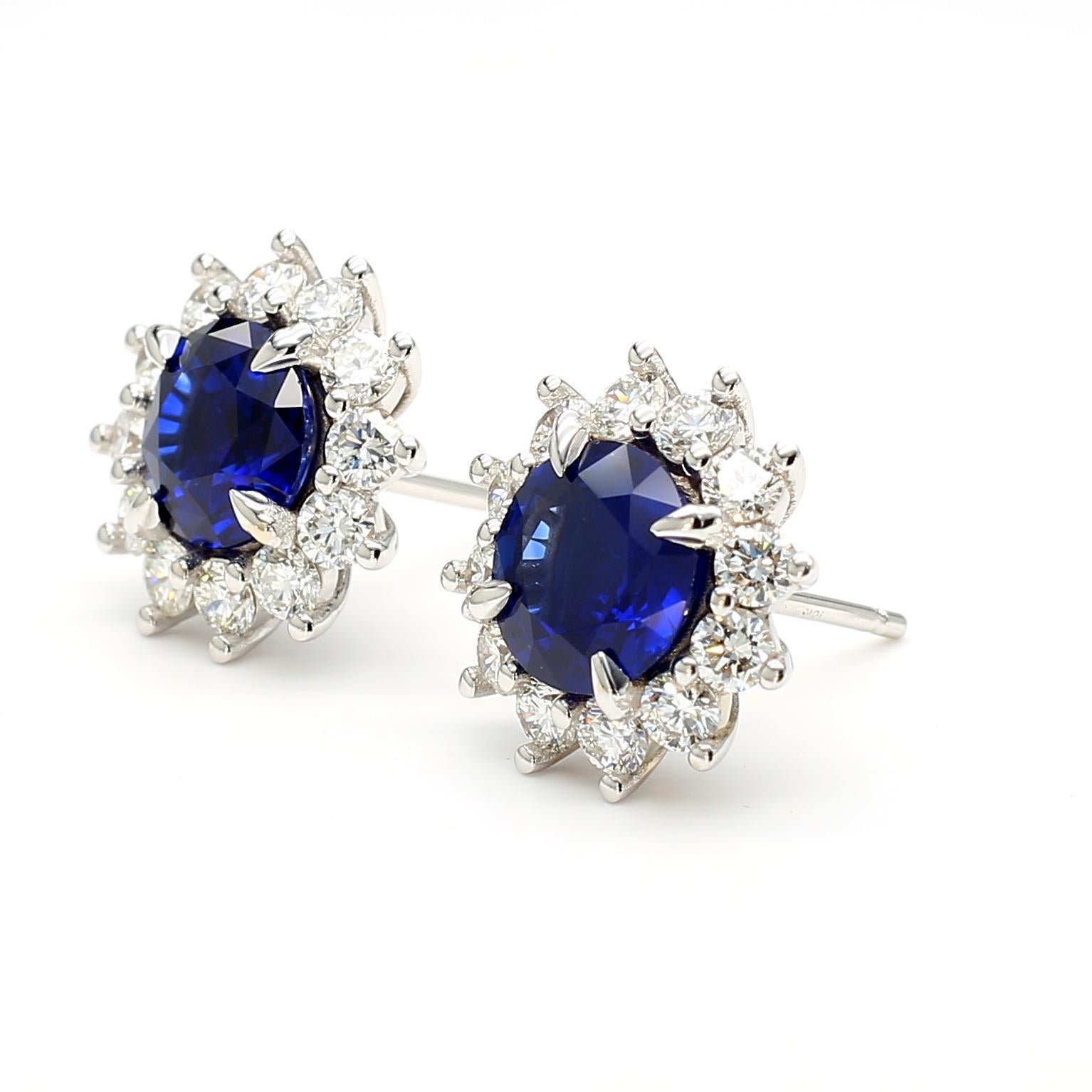 Les magnifiques boucles d'oreilles en saphir de Raregemworld. Monté dans une belle monture en or blanc 18K avec des saphirs bleus de taille ronde naturelle complétés par une mêlée de diamants blancs de taille ronde naturelle. Ces boucles d'oreilles