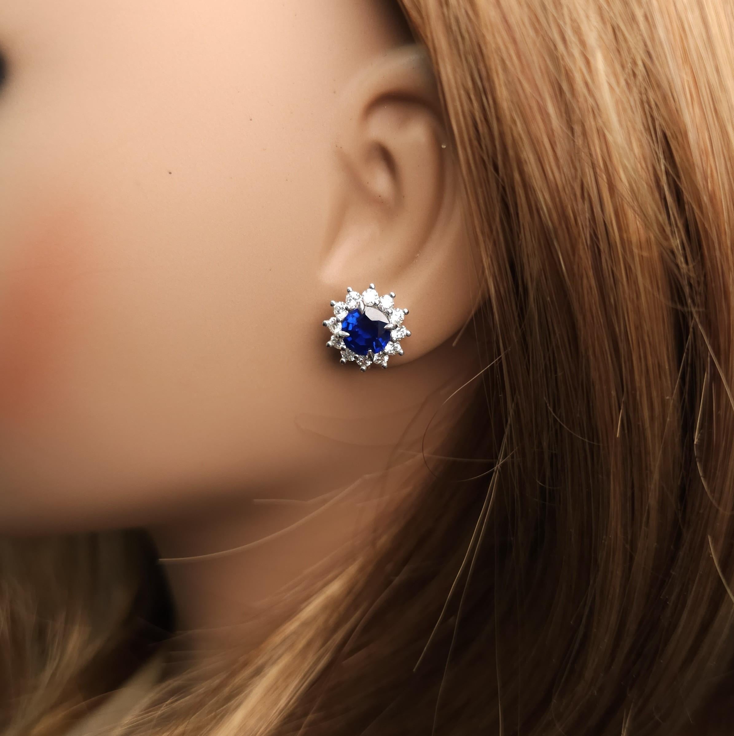 Boucles d'oreilles en or certifiées GIA saphir rond bleu et diamant 4,28 carats TW Neuf - En vente à New York, NY