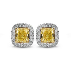 GIA Certified Diamond Studs 2.00 Carat VS, Canary Yellow, Cushion Cut, Halo 1 Ct