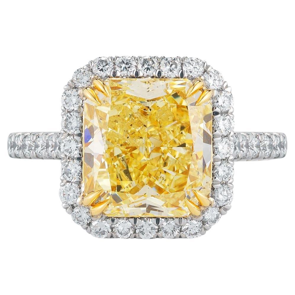 GIA Certified Fancy Yellow 4.60 Diamond Halo Pave Ring In New Condition For Sale In Rome, IT