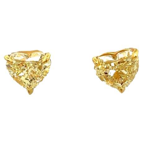 GIA Certified Fancy Yellow Heart Shape Diamond Studs 4.15ct in 14k Yellow Gold  For Sale