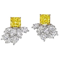 Gold Lever-Back Earrings