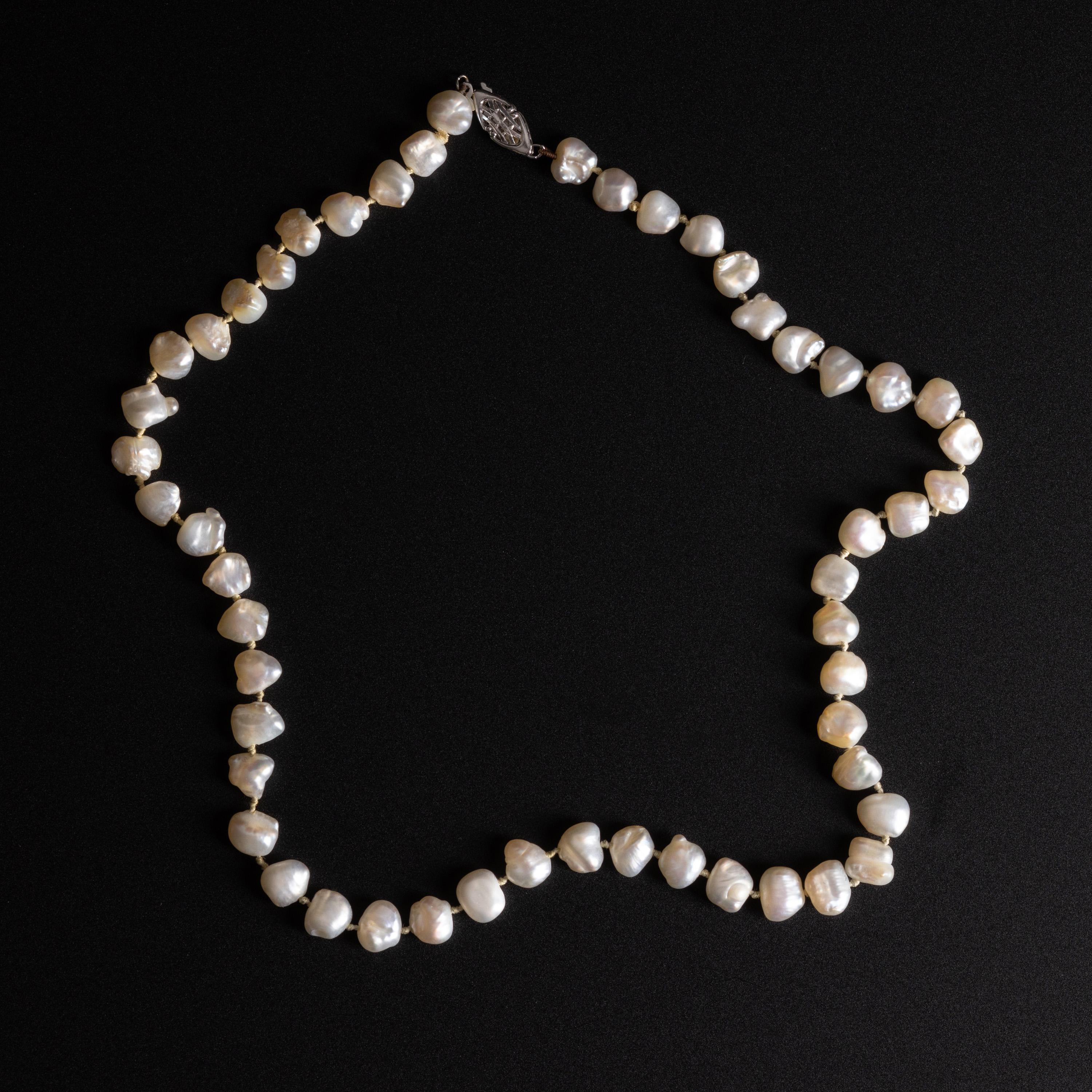 what are scotch pearls