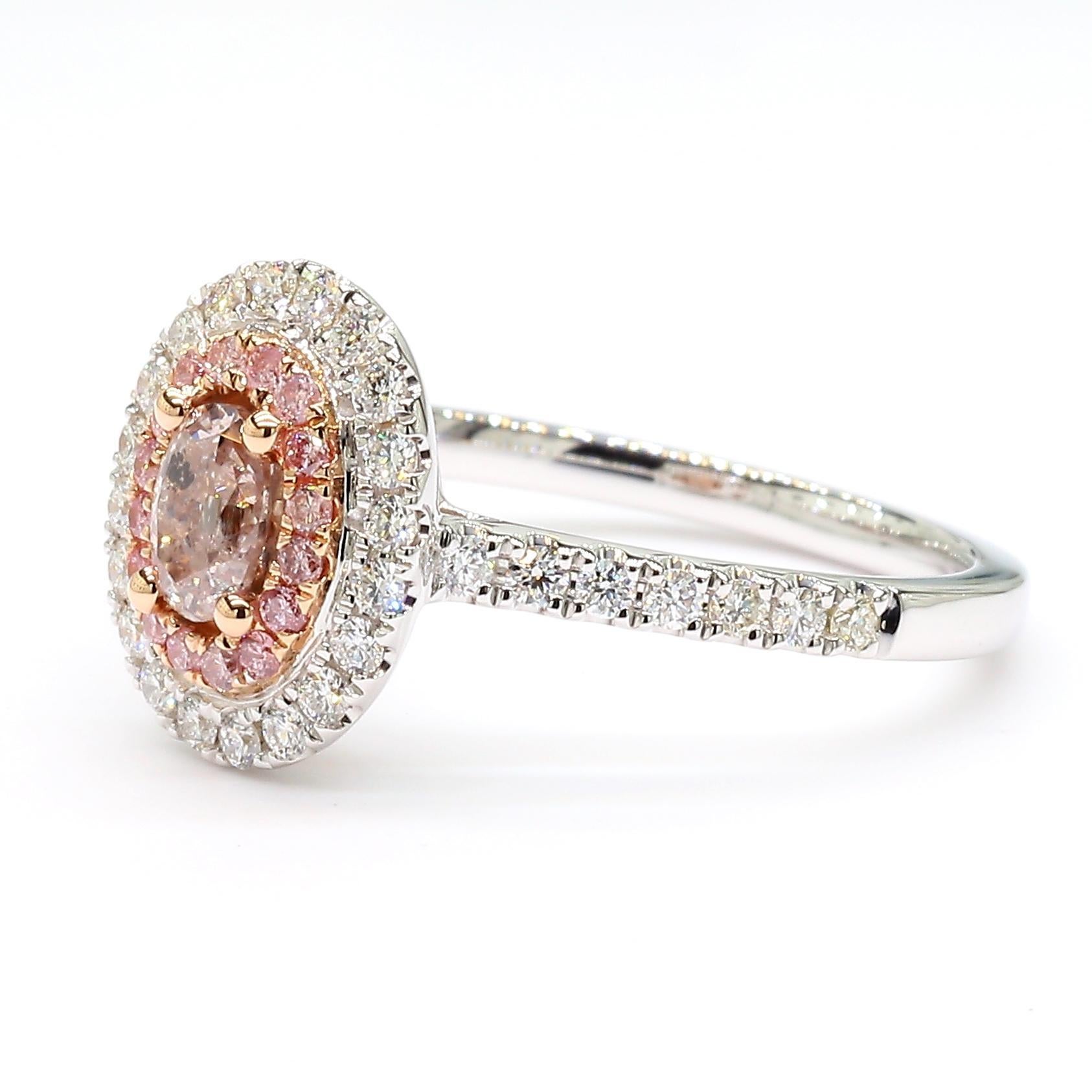 RareGemWorld's intriguing GIA certified diamond ring. Mounted in a beautiful 18K Rose and White Gold setting with a natural oval cut pink diamond. The pink diamond is surrounded by round natural pink diamond melee and round natural white diamond