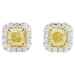 GIA-zertifizierte natürliche gelbe Diamant-Ohrstecker im Kissenschliff 2.21 Karat TW