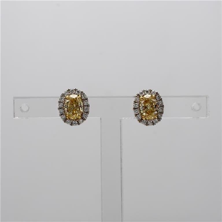 RareGemWorld's classic GIA certified earrings. Mounted in a beautiful 18K Yellow and White Gold setting with natural oval cut yellow diamonds. The yellow diamonds are surrounded round natural white diamond melee. These earrings are guaranteed to