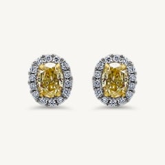 GIA Certified Natural Yellow Oval Diamond 1.02 Carat TW Gold Stud Earrings