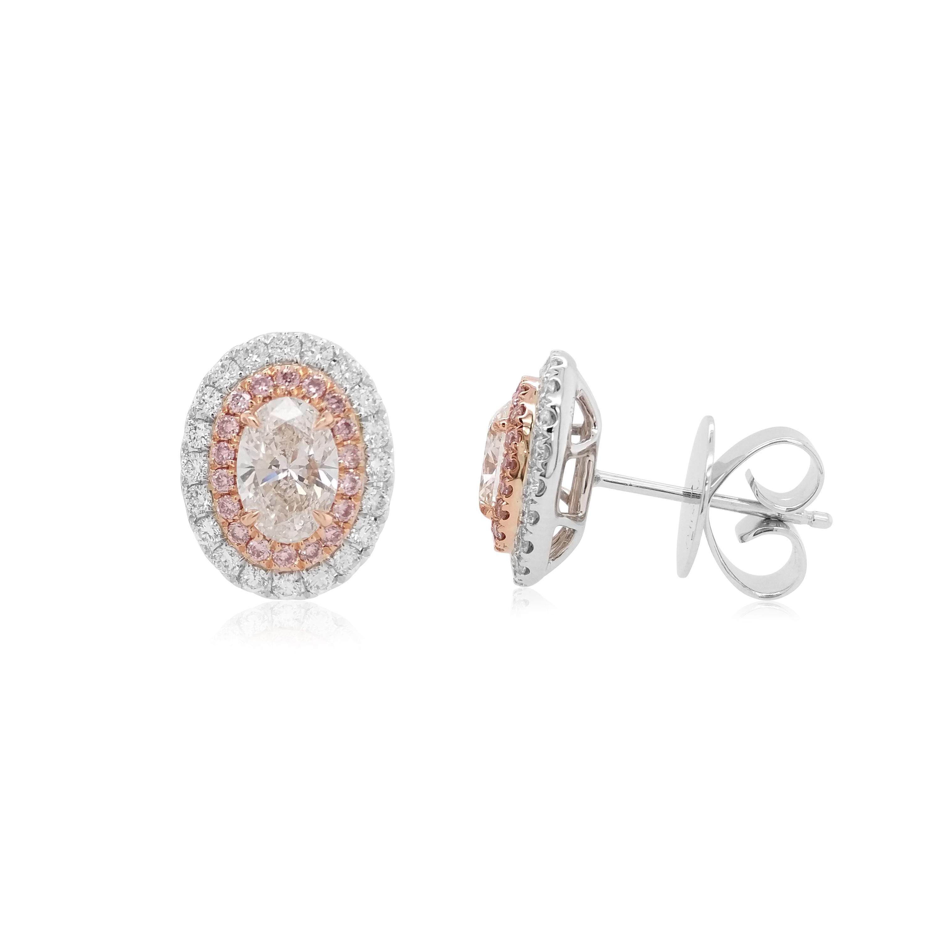 La combinaison intemporelle du diamant blanc et du diamant rose Argyle naturel a été réimaginée dans ces charmantes boucles d'oreilles en or 18 carats. Les diamants blancs de forme ovale d'excellente qualité en son centre, entourés de halos de