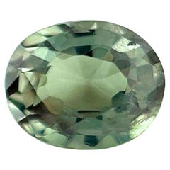 GIA zertifiziert Seltene Natürliche Farbwechsel Granat 0,57ct Grün Lila Oval Schliff Edelstein
