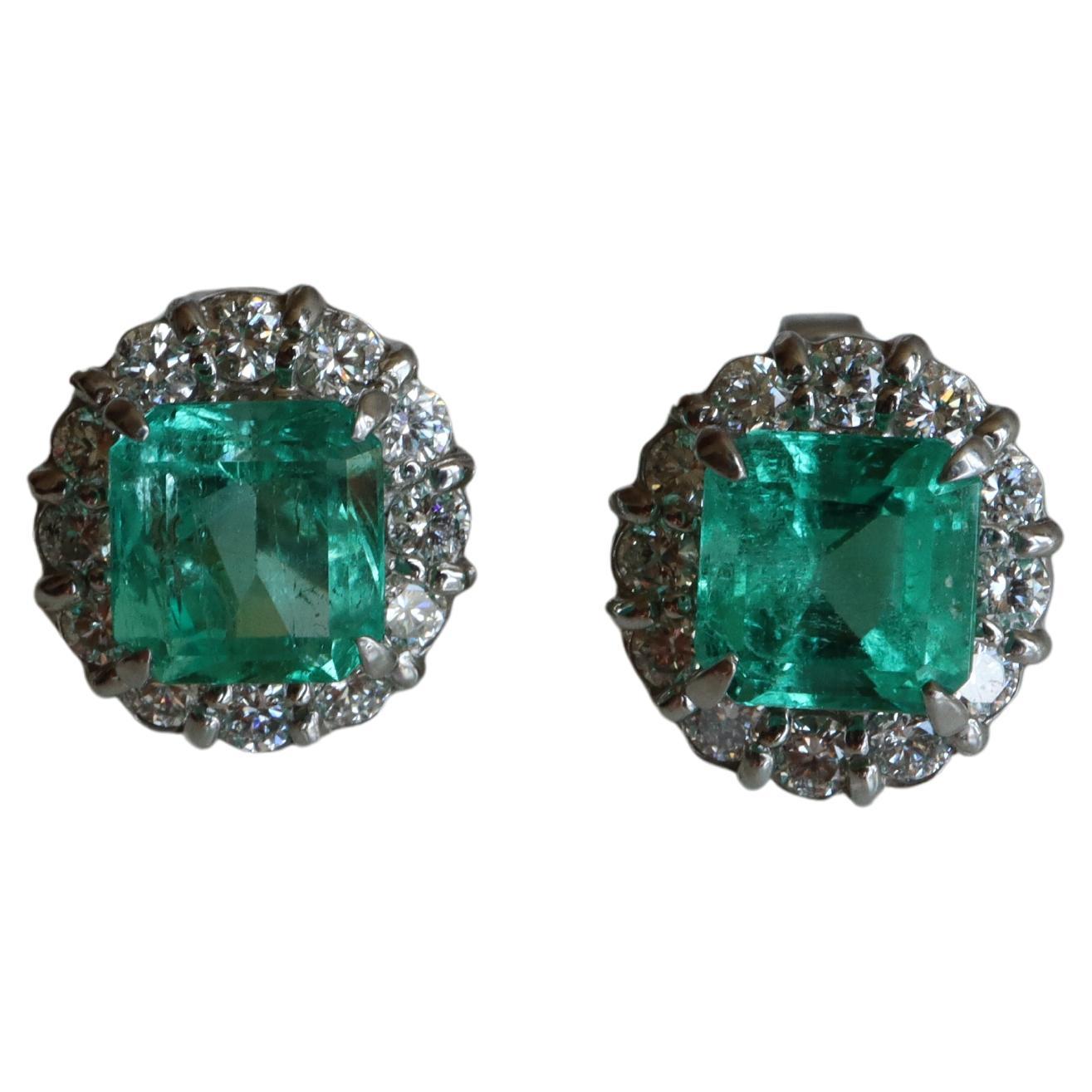 GIA F2/Moderate 2.22ct Natural Colombian Emerald Earrings For Sale