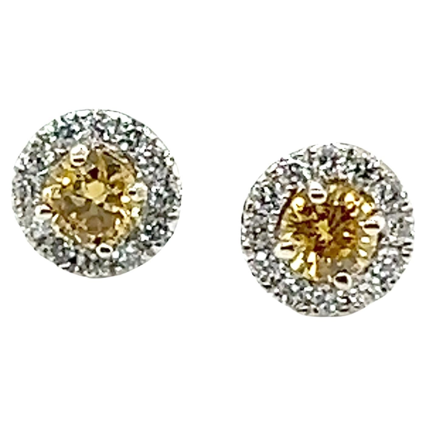 GIA Fancy Orangy Yellow Diamond Halo Stud Earrings .83ct Brand New 14K For Sale