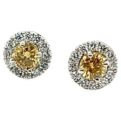 GIA Fancy Orangy Yellow Diamond Halo Stud Earrings .83ct Brand New 14K