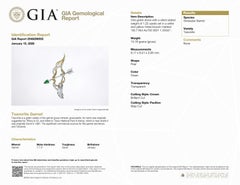 GIA/Guild 18K 1.22 Ct Vibrant Kijani Grüner Tsavorit&Diamanten Broschen