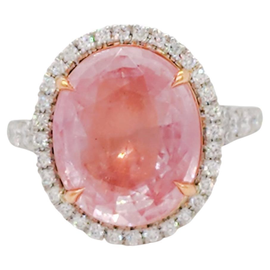 GIA Unheated Padparadscha and White Diamond Cocktail Ring in Platinum