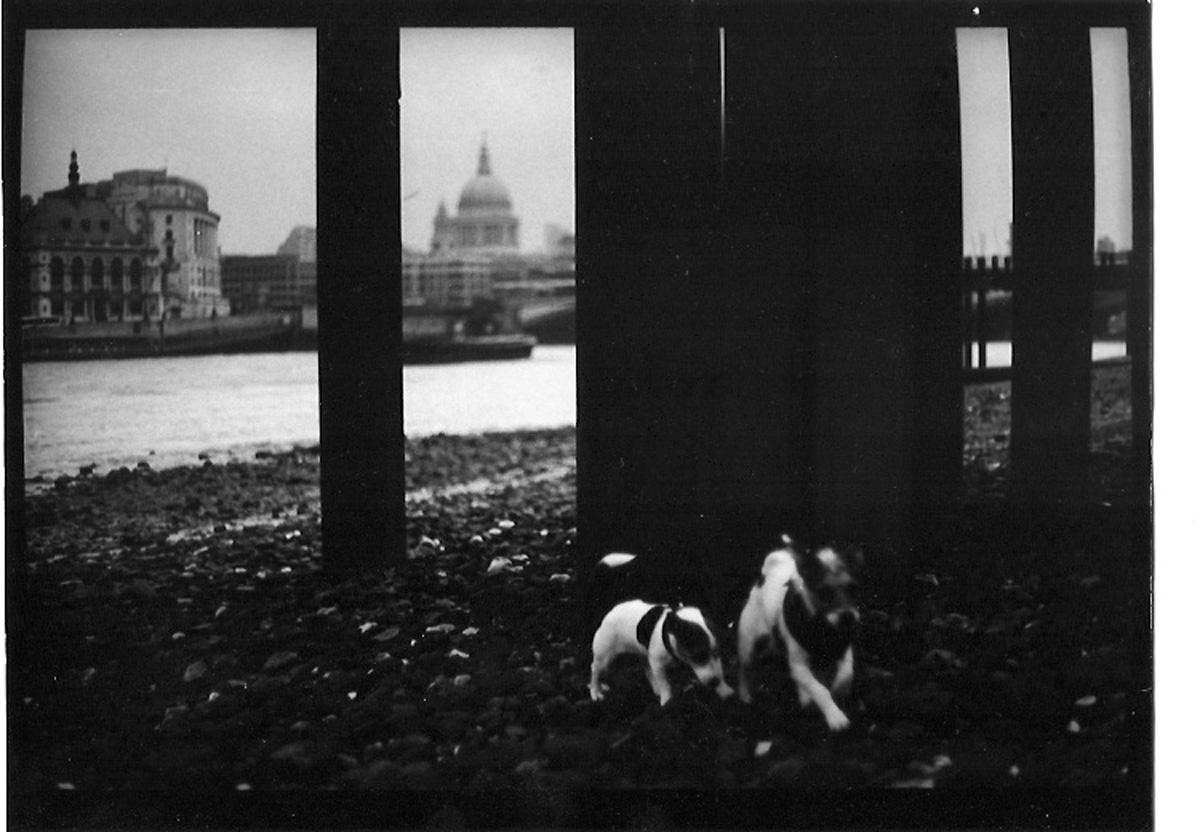 Ohne Titel #21 (Dogs St. Paul's) von Eternal London - Giacomo Brunelli