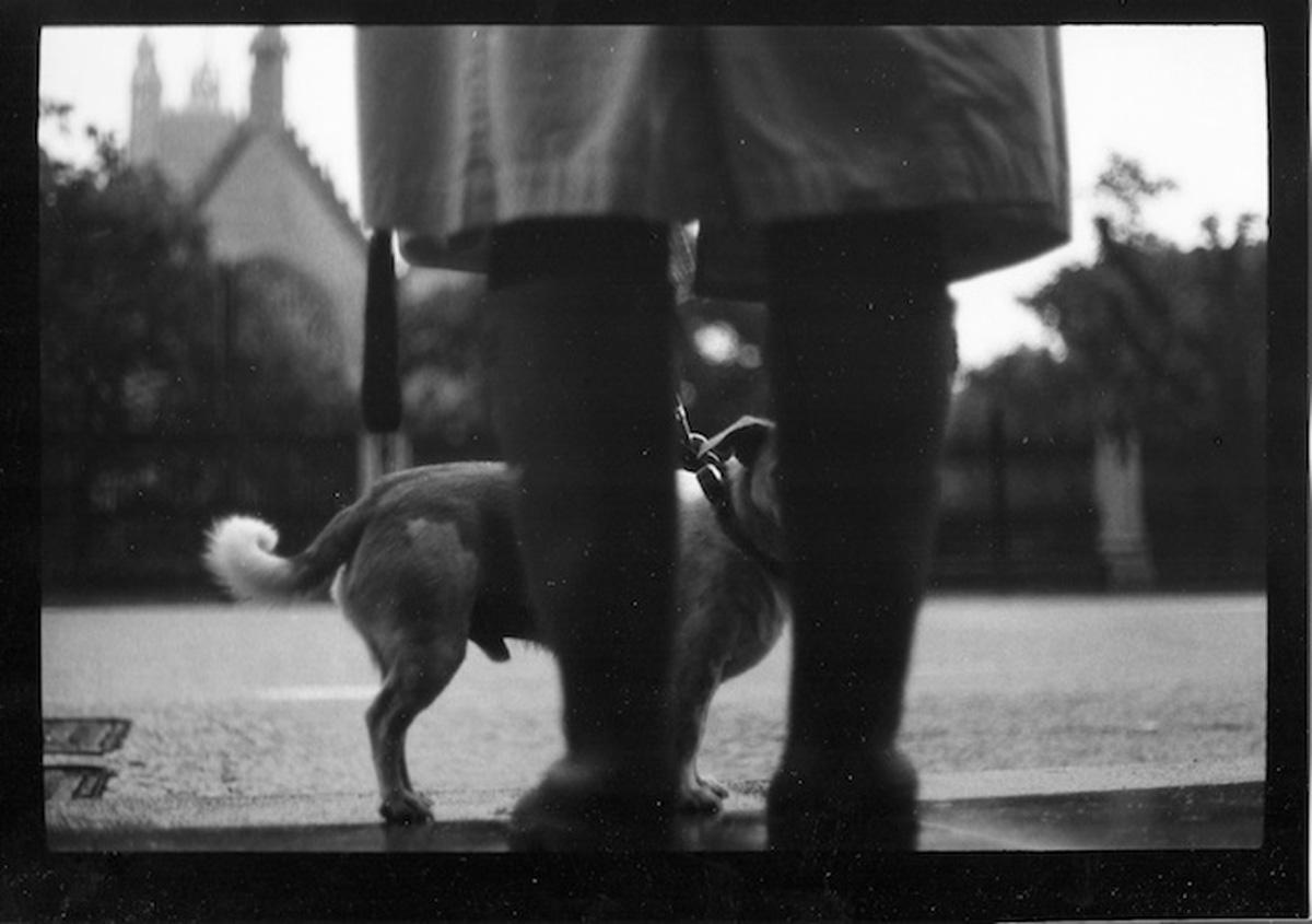 Giacomo Brunelli Black and White Photograph – Untitled #24 (Frau und Hund Westminster), 2013 – Silber-Gelatine in limitierter Auflage