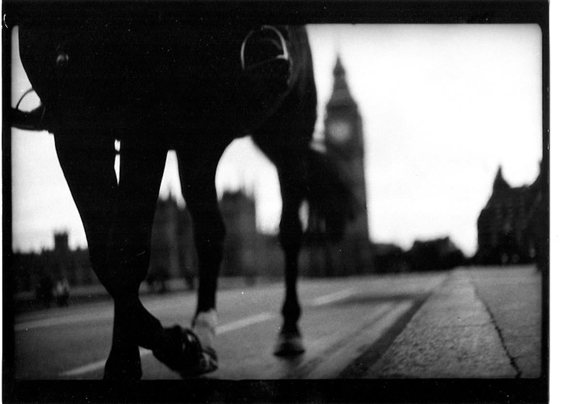 Ohne Titel #8 (Horse Westminster Bridge) von Eternal London - Giacomo Brunelli