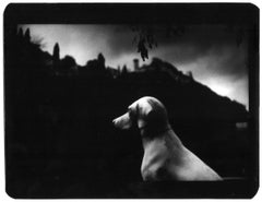 Ohne Titel (Dog Sitting) - Schwarz-Weiß, Tierfotografie, Film Noir