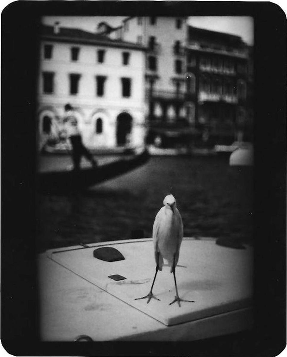 Black and White Photograph Giacomo Brunelli - Sans titre (Heron Venice) Animals, 2007 - Tirage gélatino-argentique en édition limitée