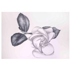 Black Rose - Original Etching by Giacomo Porzano - 1970s