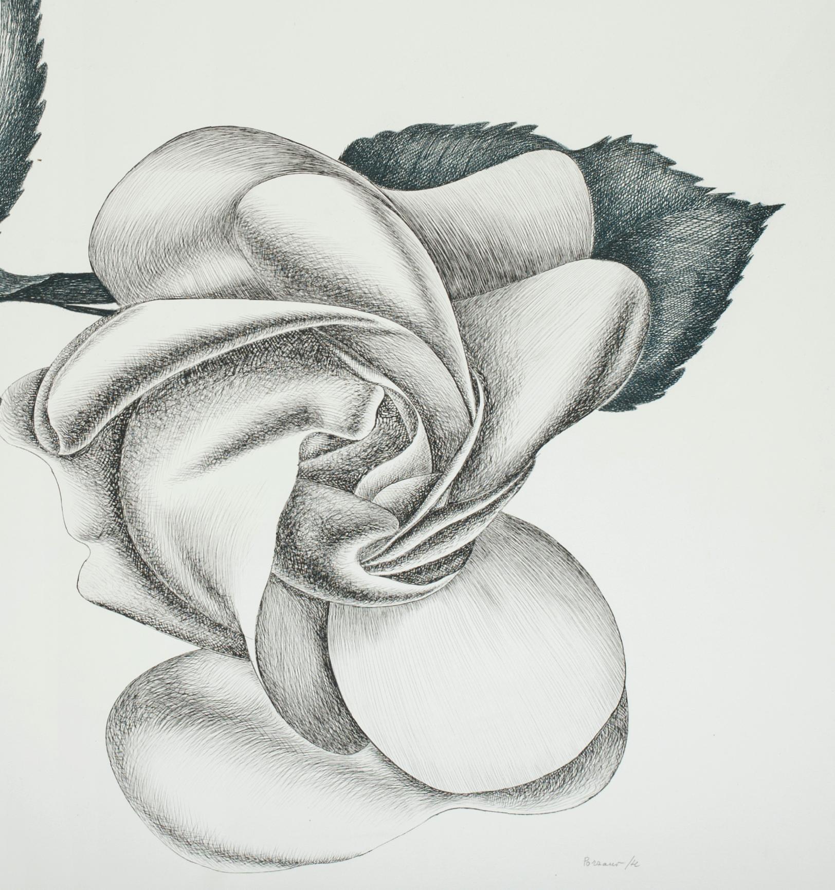 Black Rose is a beautiful original black and white etching on paper, realized by the Italian artist Giacomo Porzano (1925-2006).

Hand-signed, dated and numbered in Roman numerals by the artist in pencil on lower margin.

Edition of 50 prints