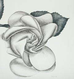 Rose noire - Gravure originale de Giacomo Porzano - 1972