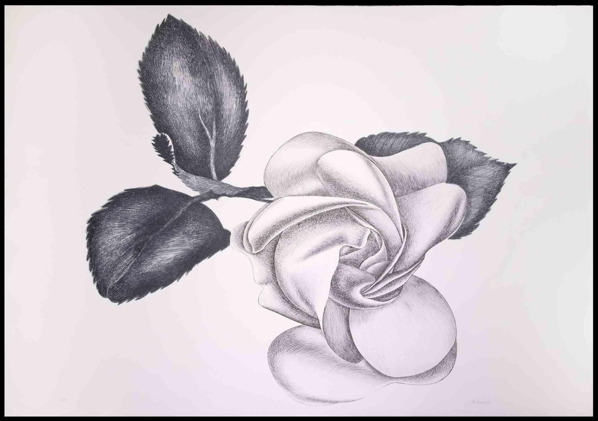 black rose etching