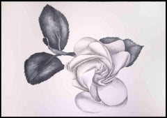 Rose noire - Gravure originale de Giacomo Porzano - 1972