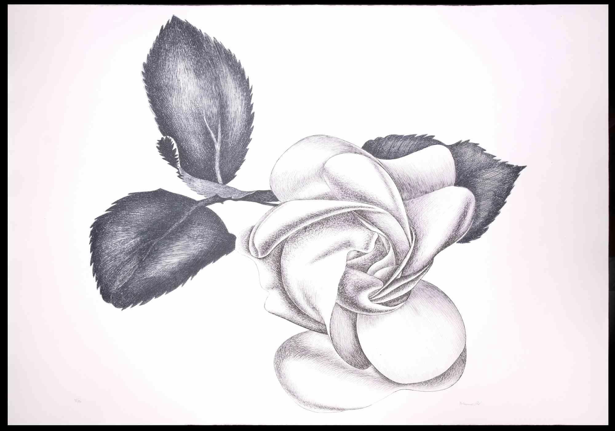Black Rose is an original modern artwork realized by the Italian artist Giacomo Porzano (1925-2006) in 1972

Black and white etching.

Hand-signed and dated on the lower right.

Numbered on the lower left. Edition of 2/50.



Giacomo Porzano was