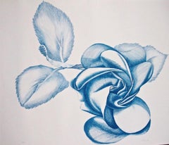 Blue Rose - Etching by Giacomo Porzano - 1970