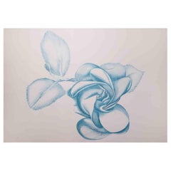 Blue Rose - Etching by Giacomo Porzano - 1970s