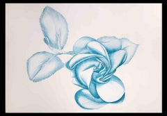 Blaue Rose – Radierung von Giacomo Porzano – 1970er Jahre